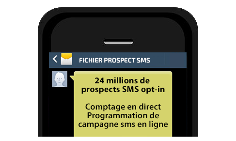 SMS Marketing, Fichier SMS